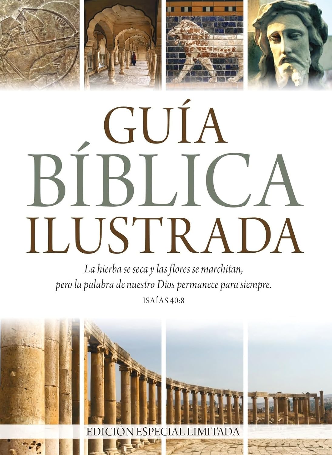 Guía bíblica ilustrada - Edición especial limitada (Illustrated Bible Guide) (Spanish Edition) Paperback