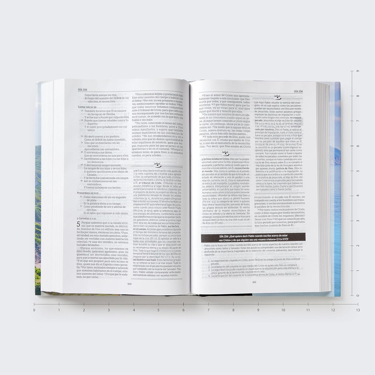 Biblia Devocional MacArthur NBLA (Tapa Dura)